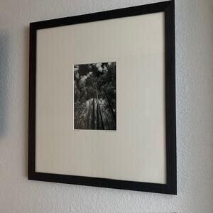 Janis Schwartz "Aspens" Signed 1997 & Numbered 9/90 Framed & Matted